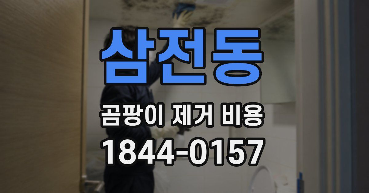 삼전동 곰팡이 제거 비용