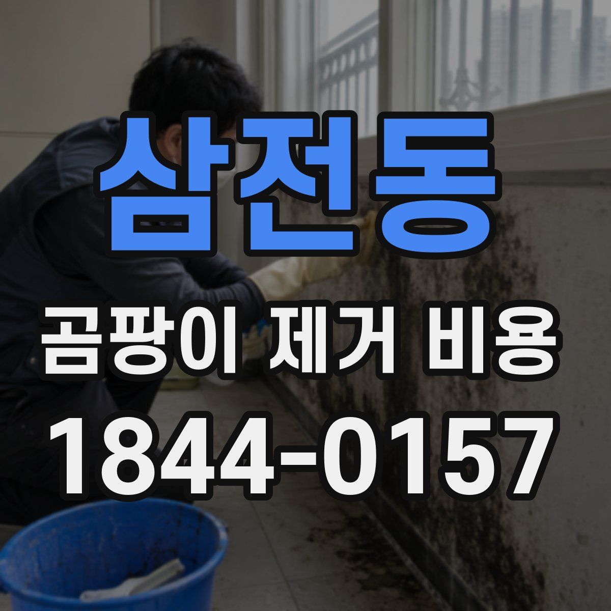 삼전동 곰팡이 제거 비용