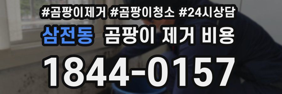 삼전동 곰팡이 제거 비용