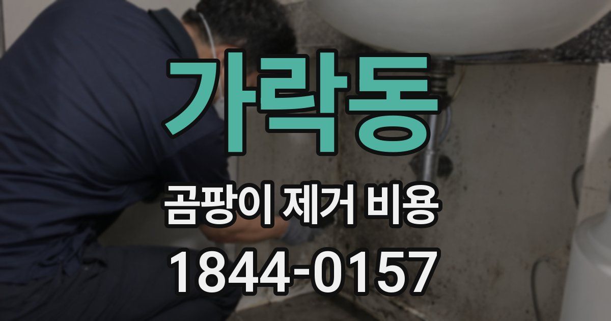 가락동 곰팡이 제거 비용