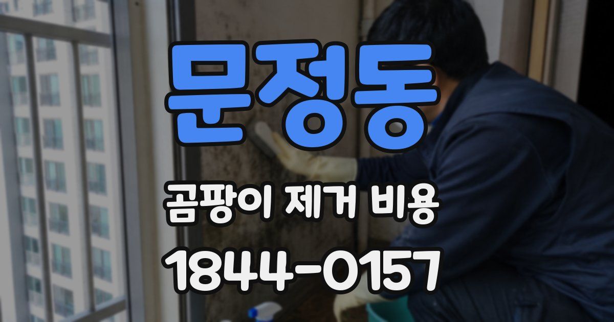 문정동 곰팡이 제거 비용