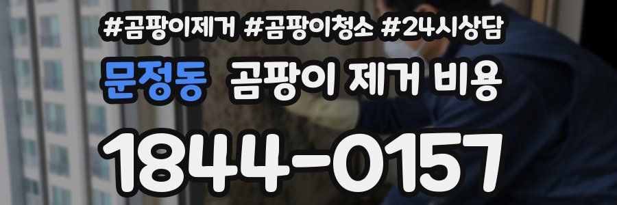 문정동 곰팡이 제거 비용