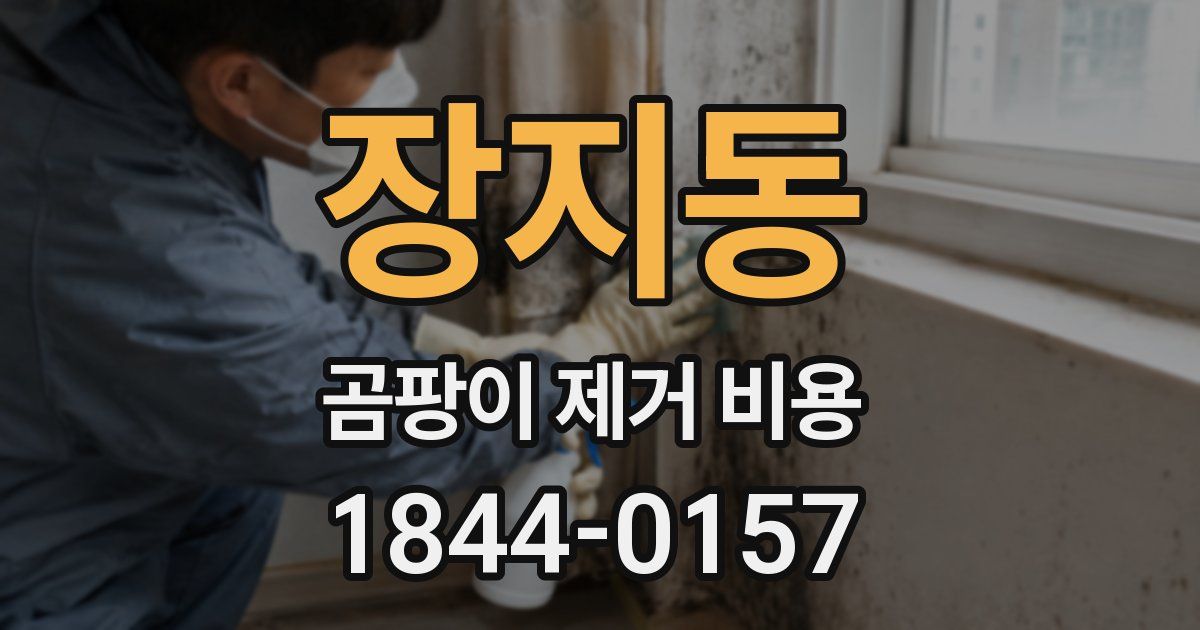 장지동 곰팡이 제거 비용