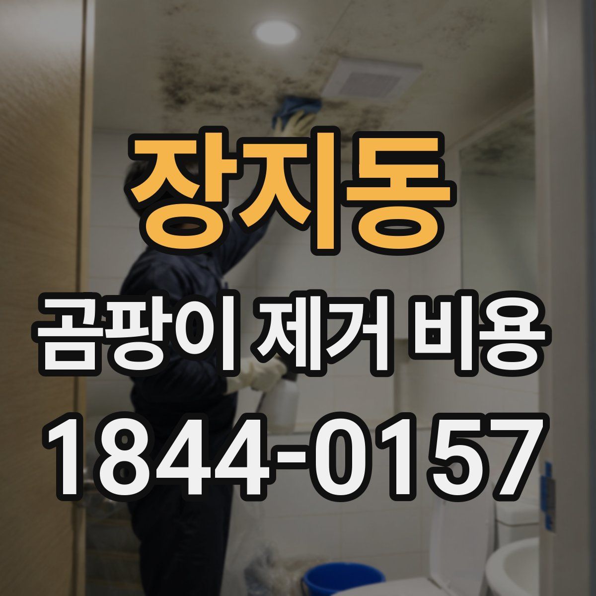 장지동 곰팡이 제거 비용