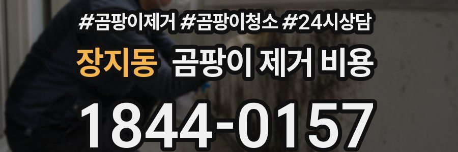 장지동 곰팡이 제거 비용