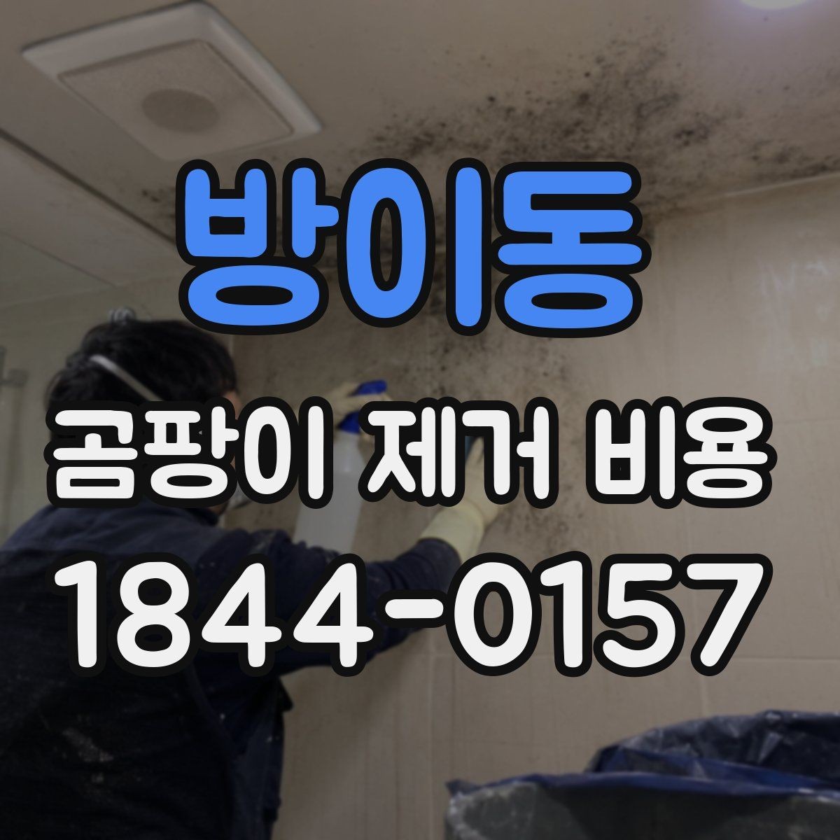 방이동 곰팡이 제거 비용 결로와 누수 원인별로 다른 계산 방식