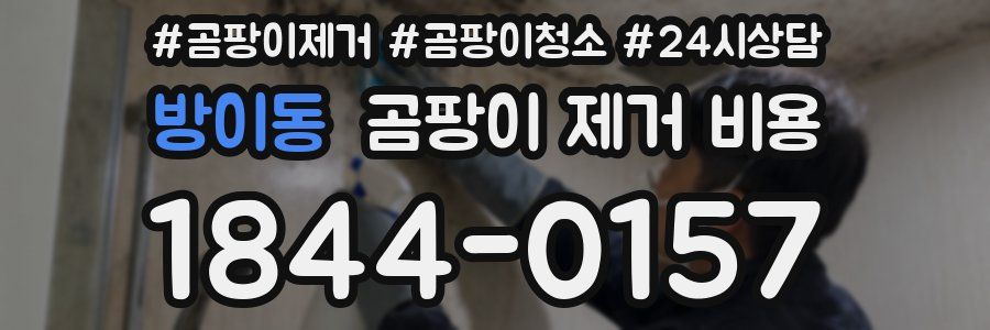 방이동 곰팡이 제거 비용