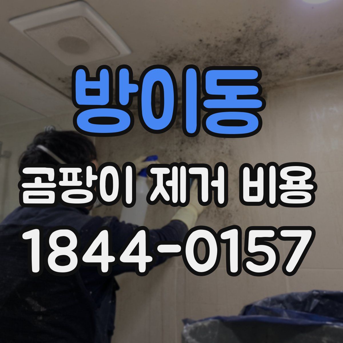 방이동 곰팡이 제거 비용