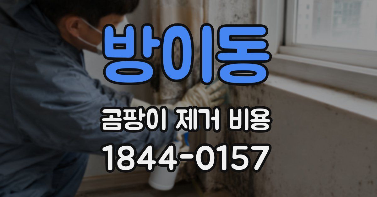 방이동 곰팡이 제거 비용