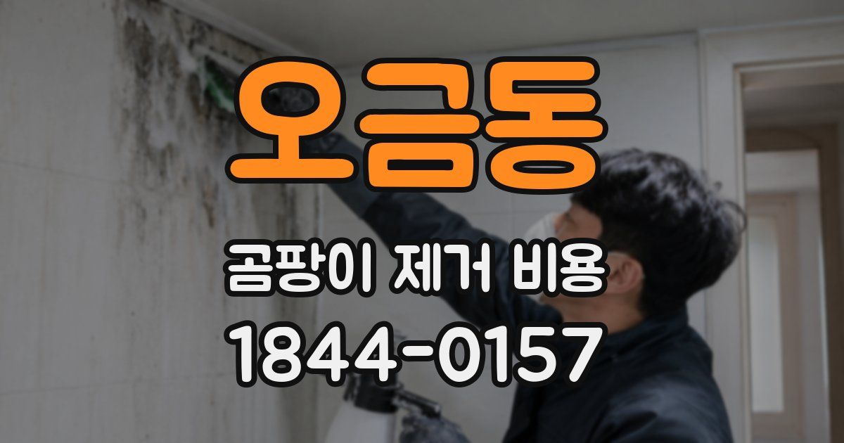 오금동 곰팡이 제거 비용