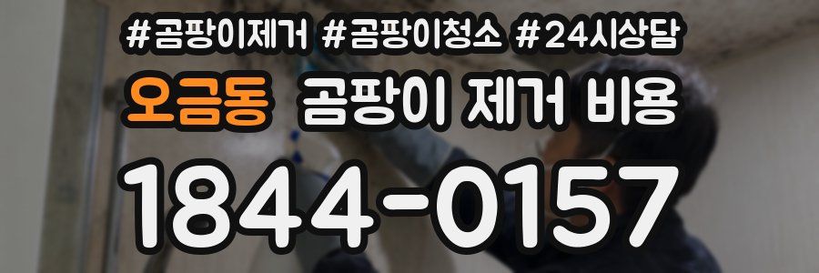 오금동 곰팡이 제거 비용