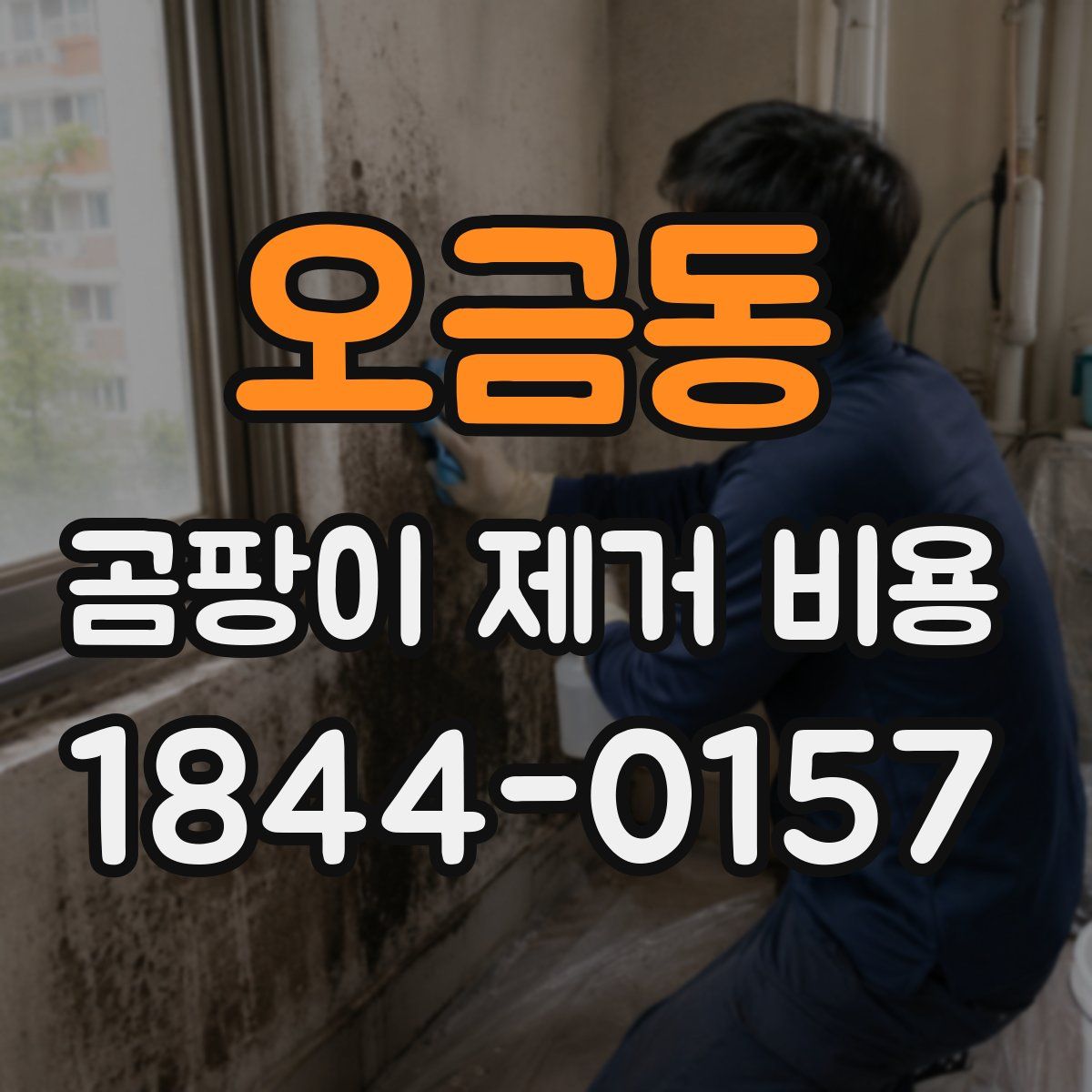오금동 곰팡이 제거 비용