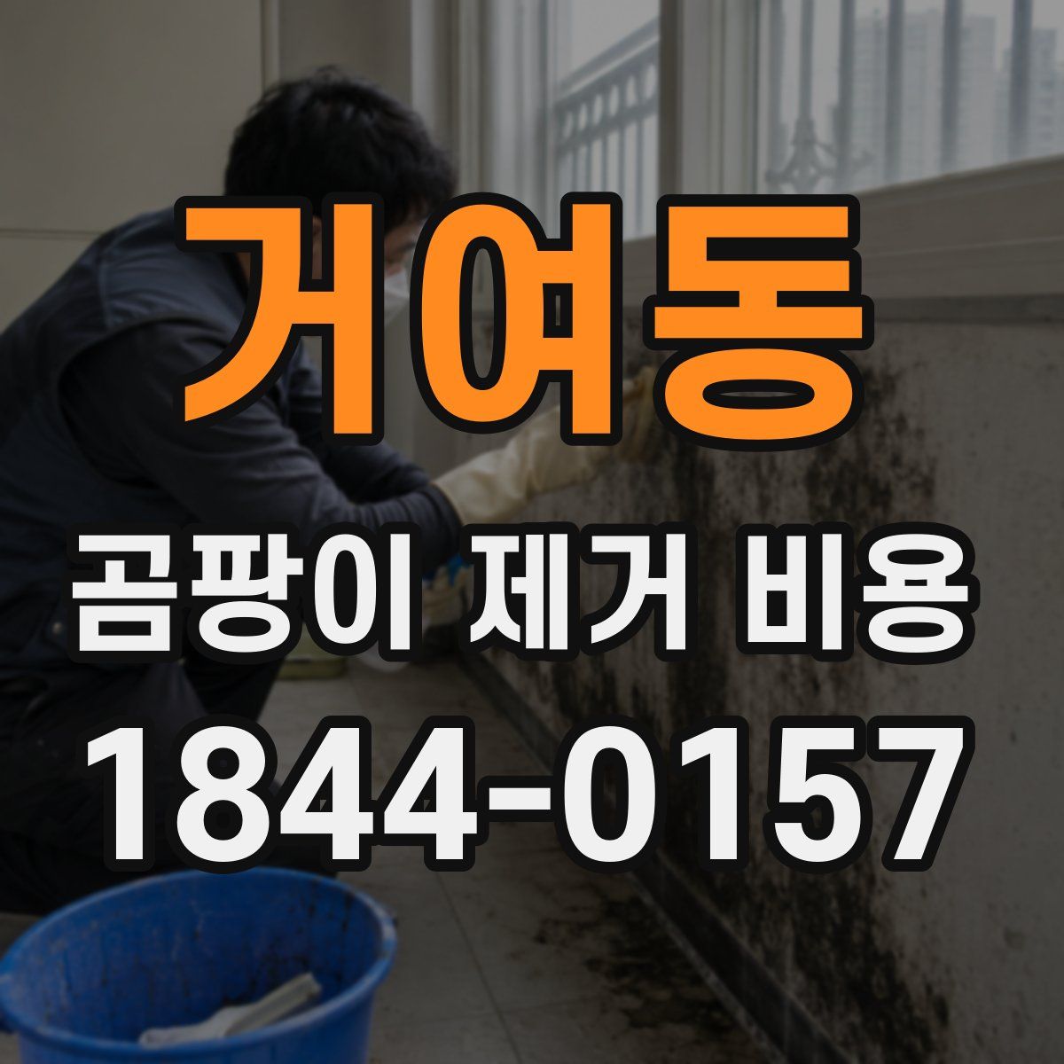 거여동 곰팡이 제거 비용