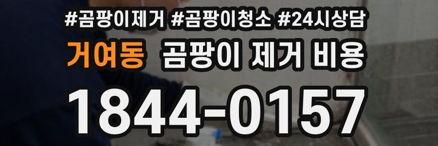 거여동 곰팡이 제거 비용