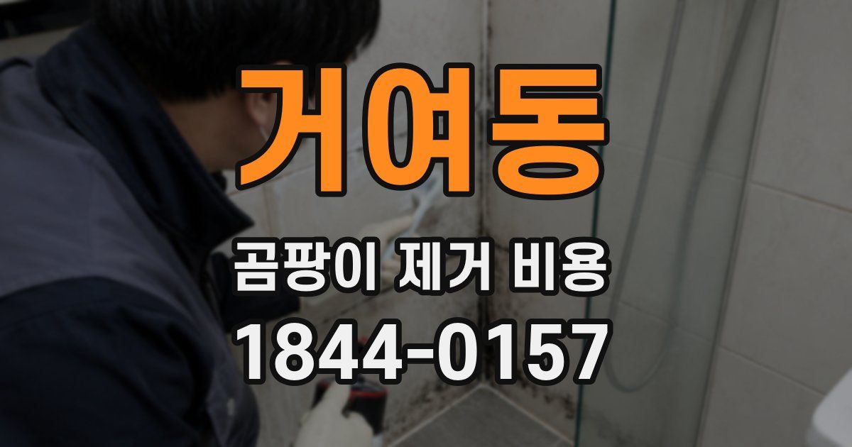거여동 곰팡이 제거 비용