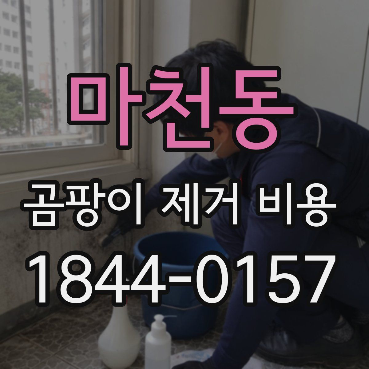 마천동 곰팡이 제거 비용