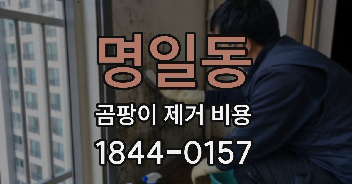 명일동 곰팡이 제거 비용
