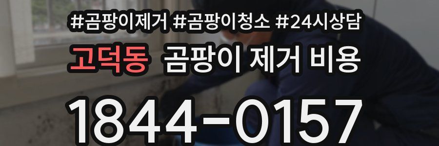 고덕동 곰팡이 제거 비용