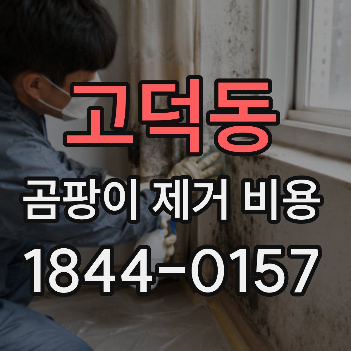 고덕동 곰팡이 제거 비용