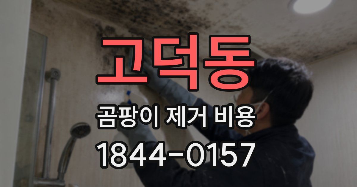 고덕동 곰팡이 제거 비용