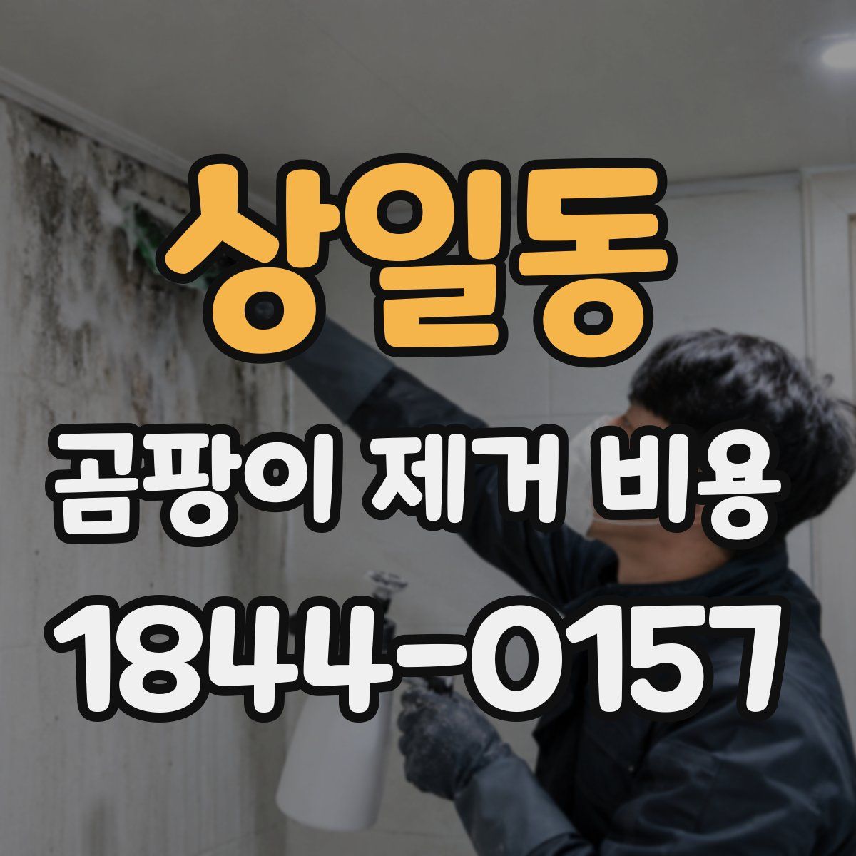 상일동 곰팡이 제거 비용