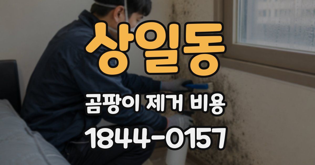 상일동 곰팡이 제거 비용