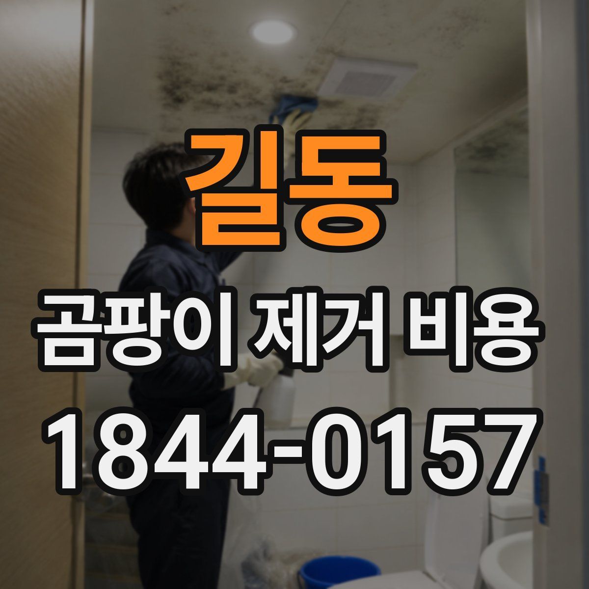 길동 곰팡이 제거 비용