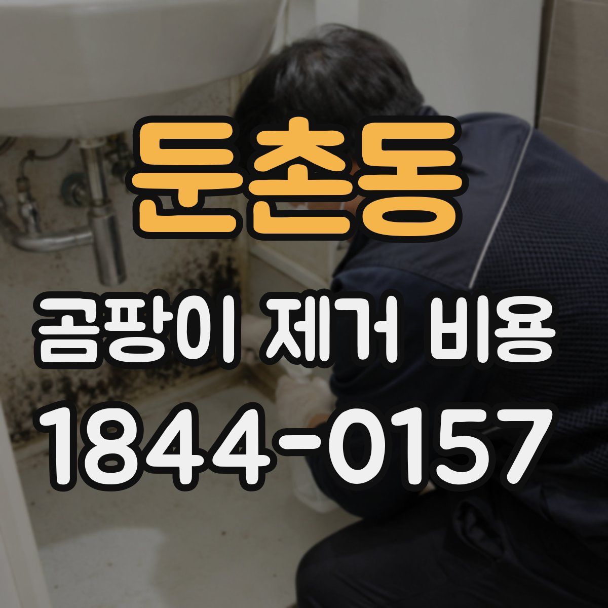 둔촌동 곰팡이 제거 비용