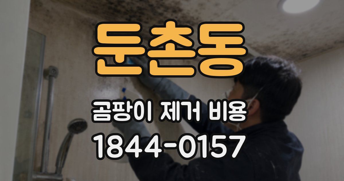 둔촌동 곰팡이 제거 비용