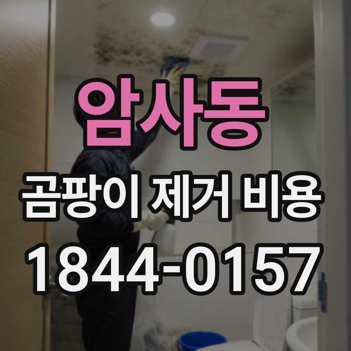 암사동 곰팡이 제거 비용
