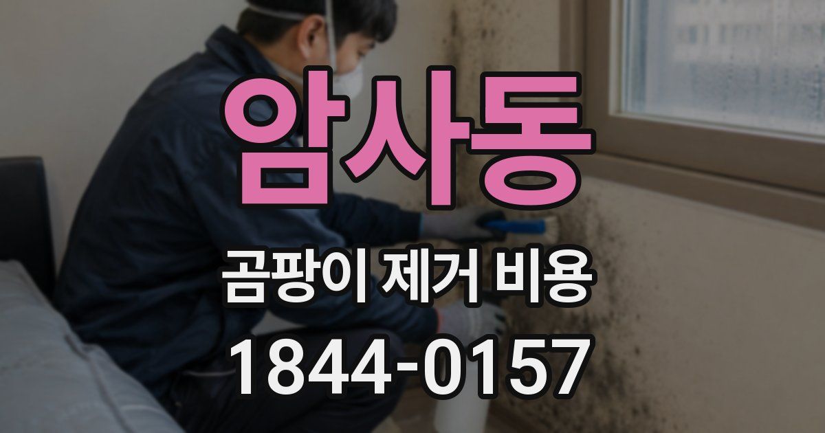암사동 곰팡이 제거 비용