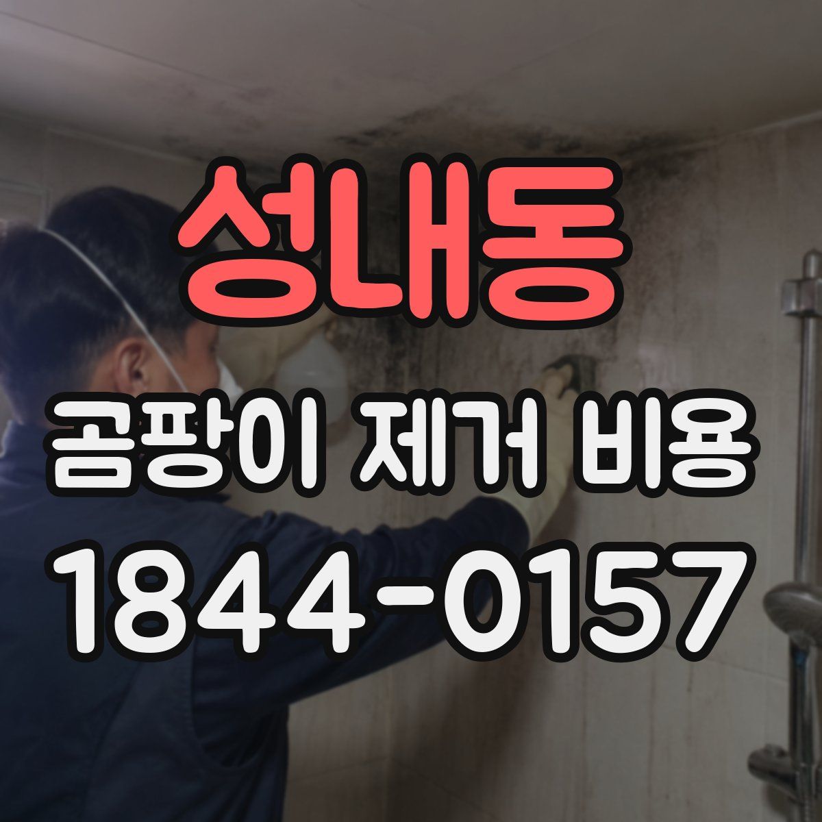 성내동 곰팡이 제거 비용