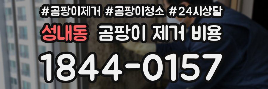 성내동 곰팡이 제거 비용