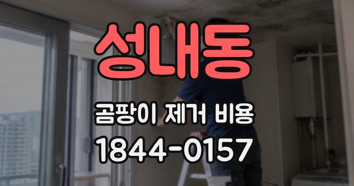 성내동 곰팡이 제거 비용