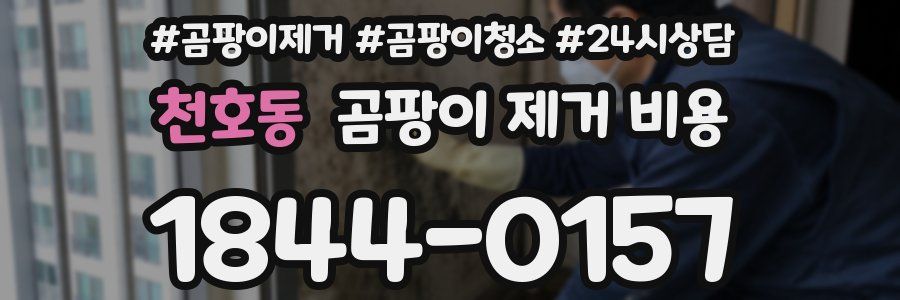 천호동 곰팡이 제거 비용