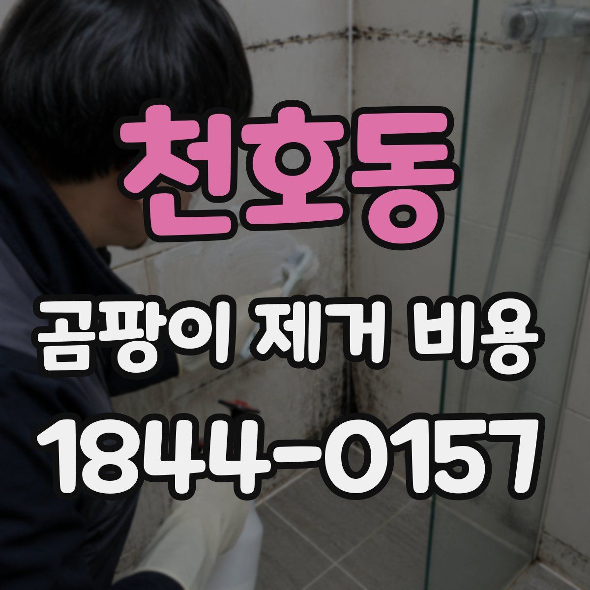 천호동 곰팡이 제거 비용