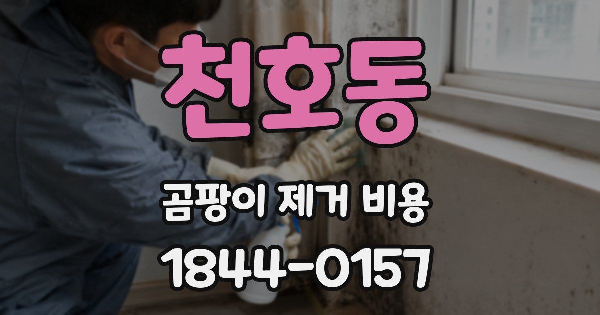 천호동 곰팡이 제거 비용