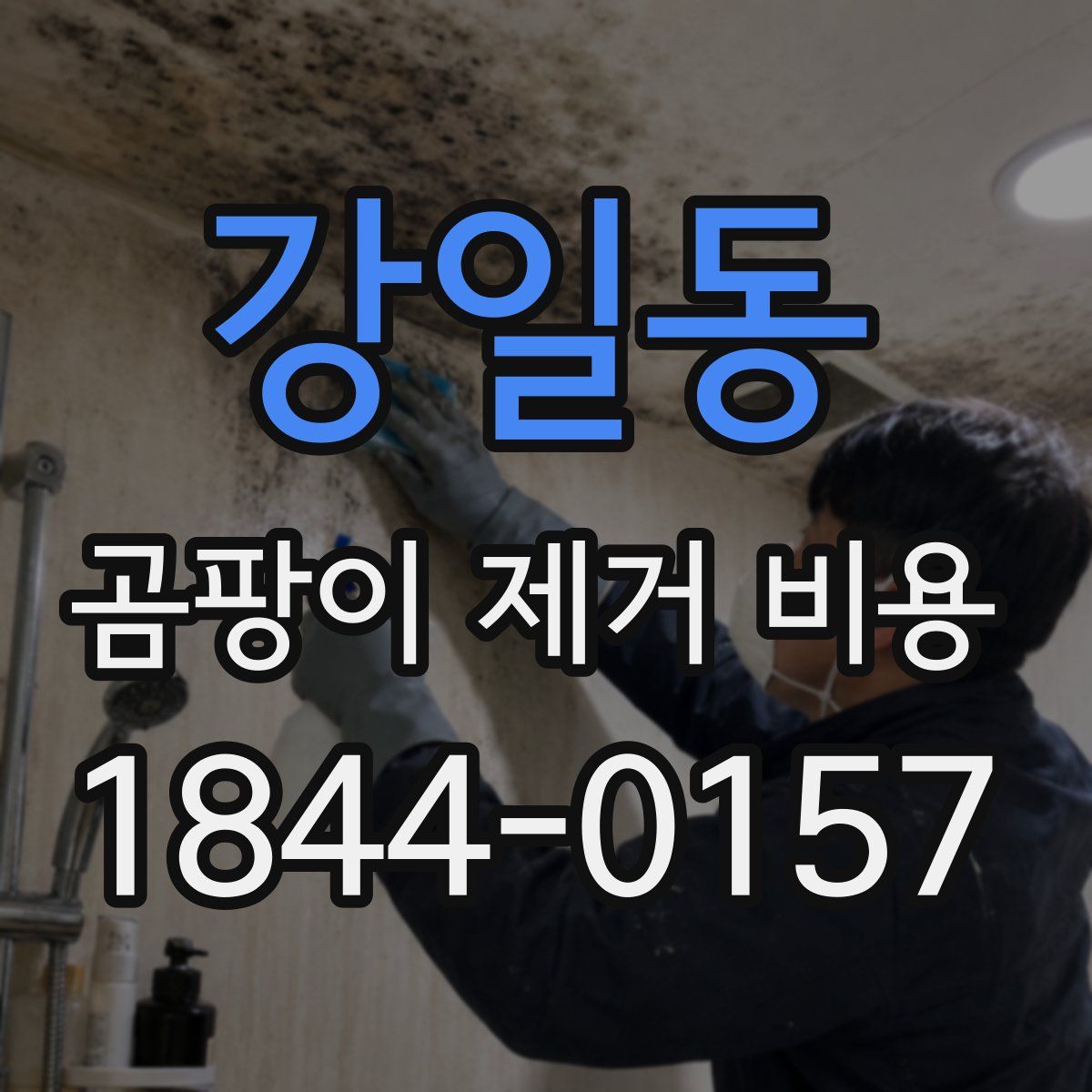 강일동 곰팡이 제거 비용