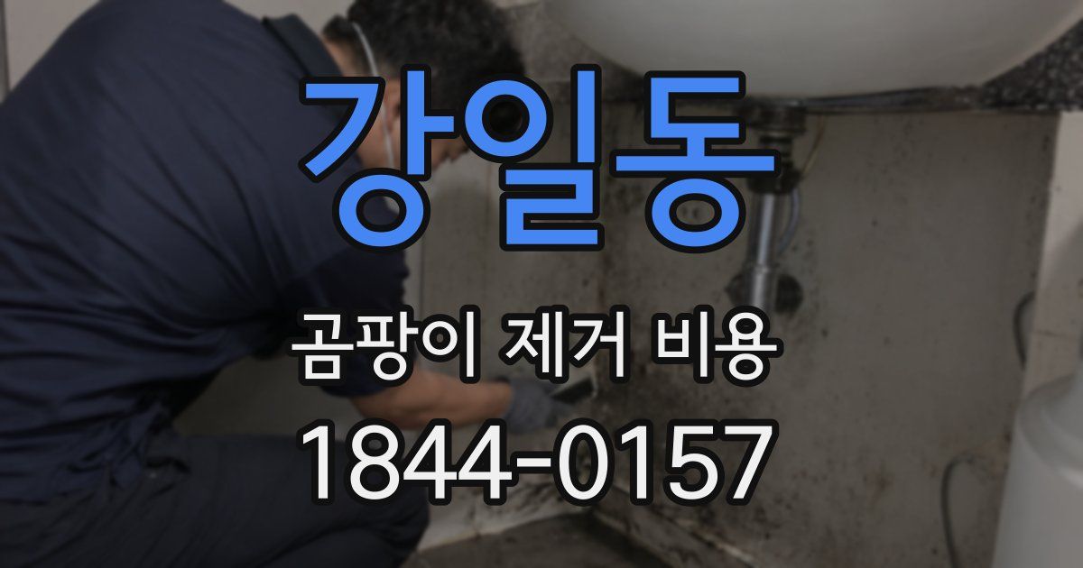 강일동 곰팡이 제거 비용