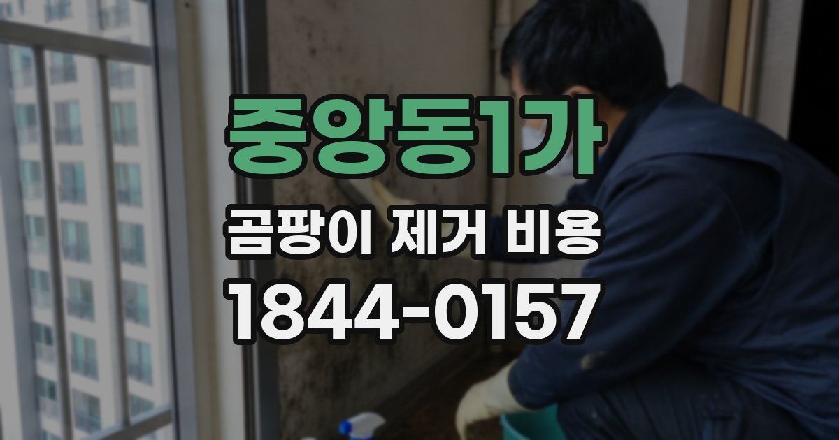 중앙동1가 곰팡이 제거 비용