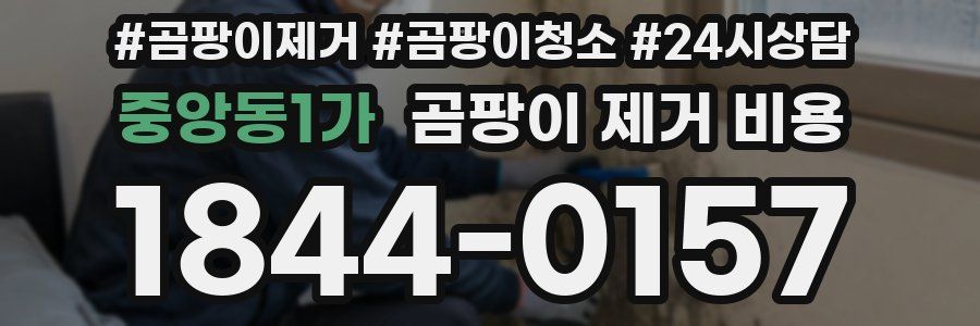 중앙동1가 곰팡이 제거 비용