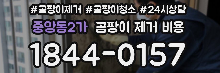 중앙동2가 곰팡이 제거 비용