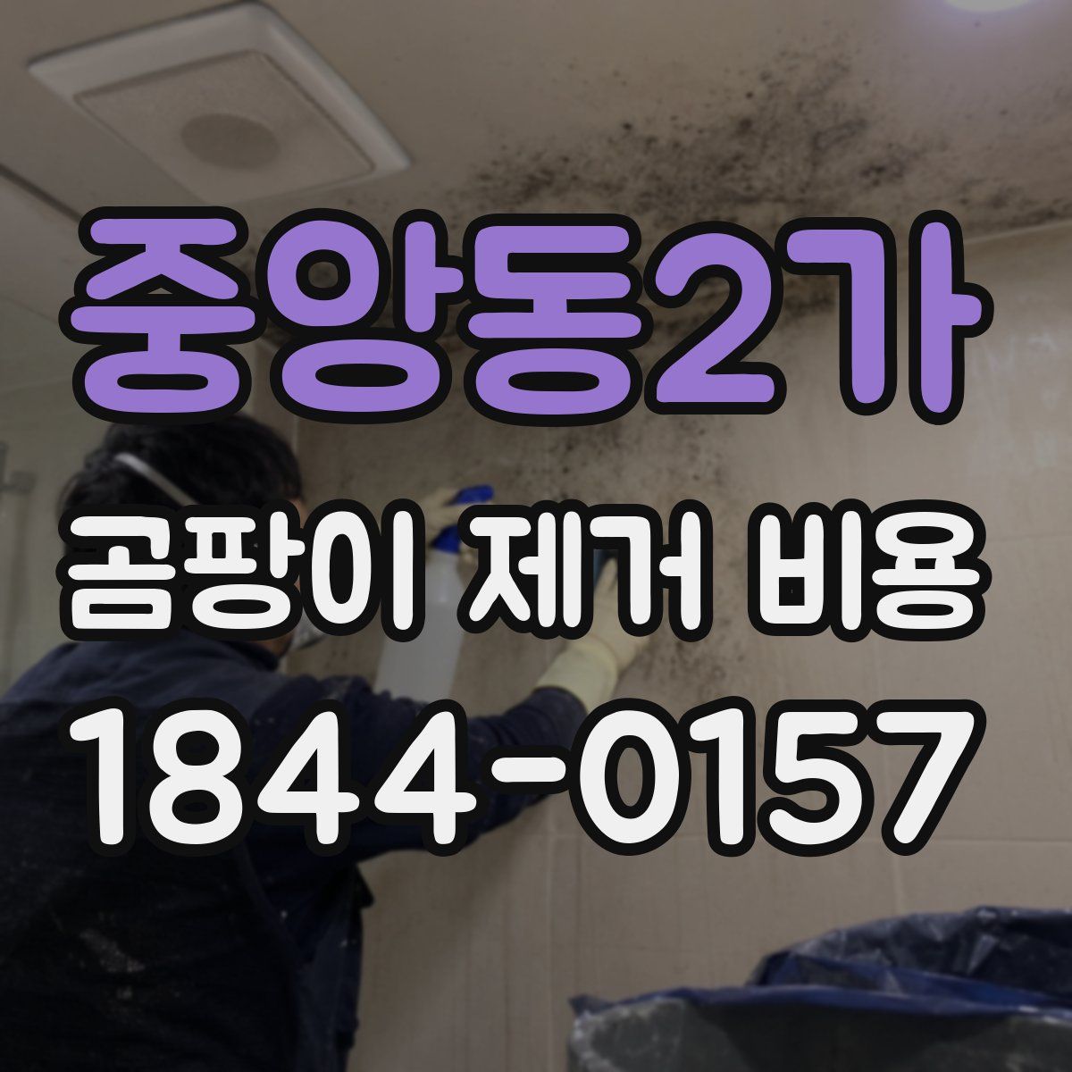중앙동2가 곰팡이 제거 비용