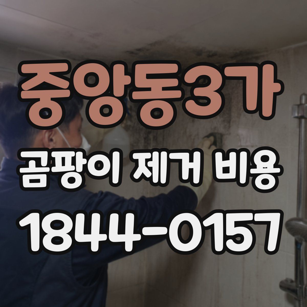 중앙동3가 곰팡이 제거 비용