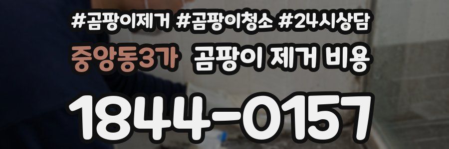 중앙동3가 곰팡이 제거 비용