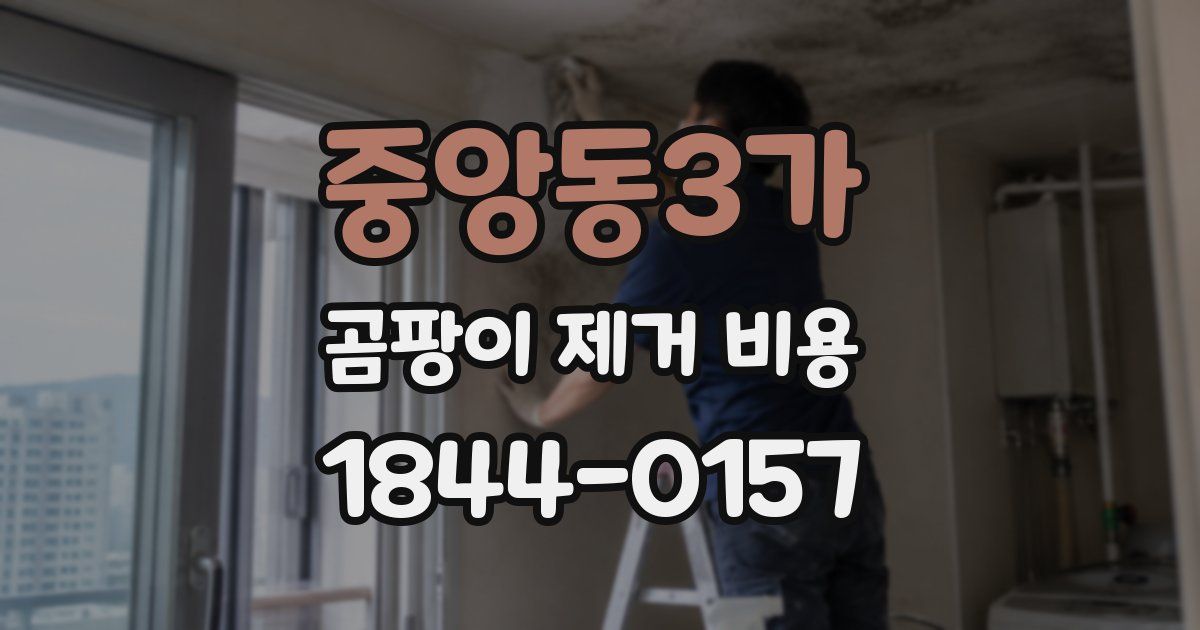 중앙동3가 곰팡이 제거 비용