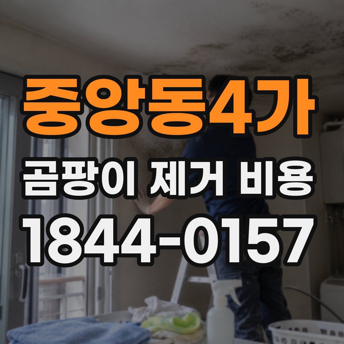 중앙동4가 곰팡이 제거 비용