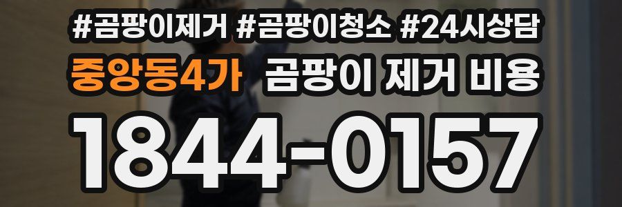 중앙동4가 곰팡이 제거 비용