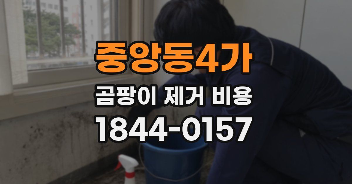중앙동4가 곰팡이 제거 비용