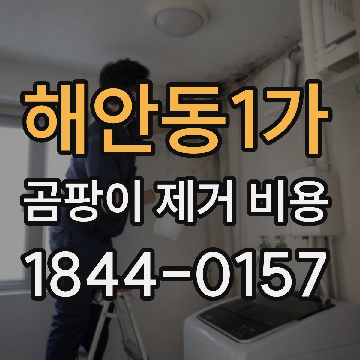 해안동1가 곰팡이 제거 비용